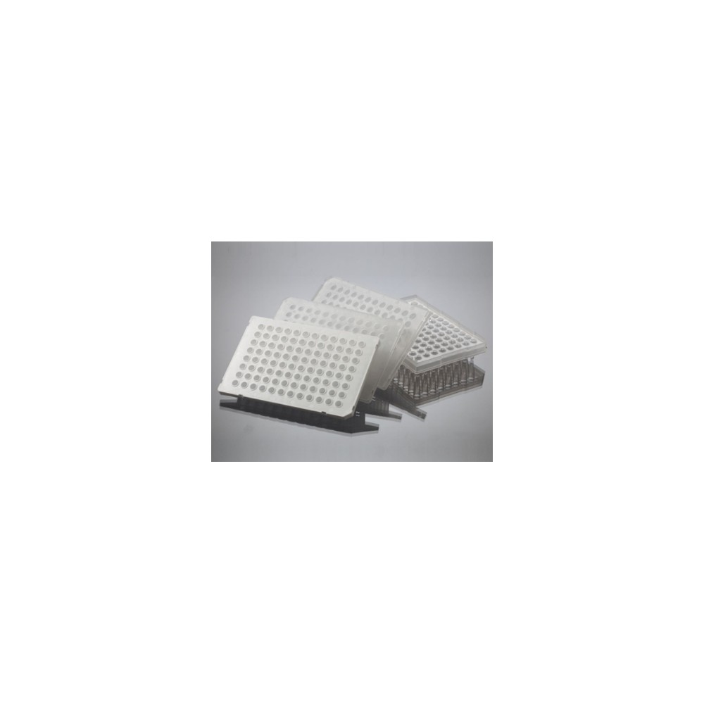 Plaque 96 puits 0,1 mL, profil bas, demi jupe, qPCR (x50)