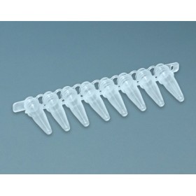 Bande 8 microtubes PCR, 0,2 mL, B/100