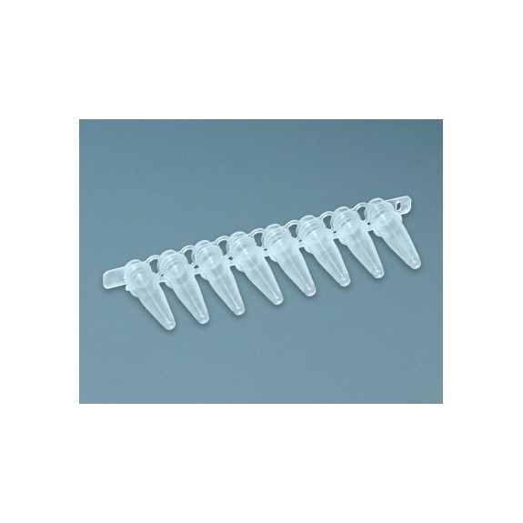 Bande 8 microtubes PCR, 0,2 mL, B/100