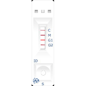 Rubella IgG + IgM cassette S, P, WB (20 tests)