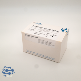 Toxoplasma IgG + IgM cassette S, P, WB (20 tests)