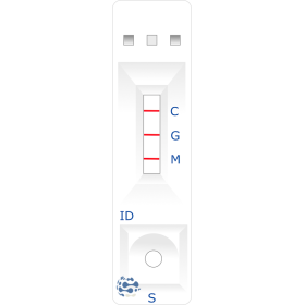 Toxoplasma IgG + IgM cassette S, P, WB (20 tests)