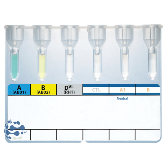 Carte gel INVITROGEL AB0 Reverse (x24)