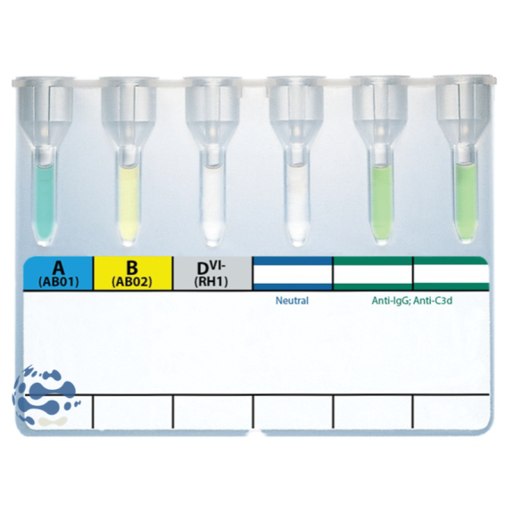 Carte gel INVITROGEL ABO Crossmatch (x24)