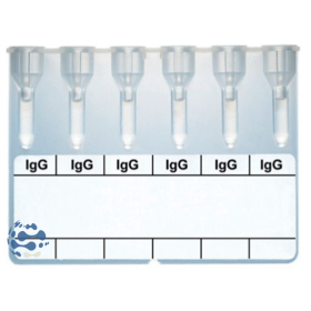 Carte gel INVITROGEL IgG (x24)