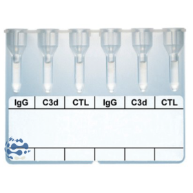 Carte gel INVITROGEL DAT SCREEN (x24)