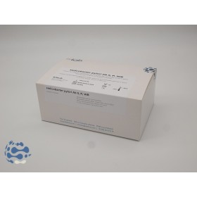 Helicobacter pylori Ab cassette S, P, WB (20 tests)