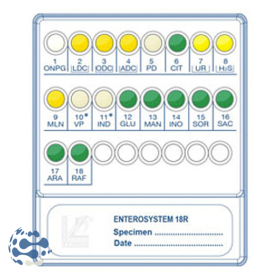 Galerie d'identification Enterosystem 18R pour bactérie Gram et oxydase