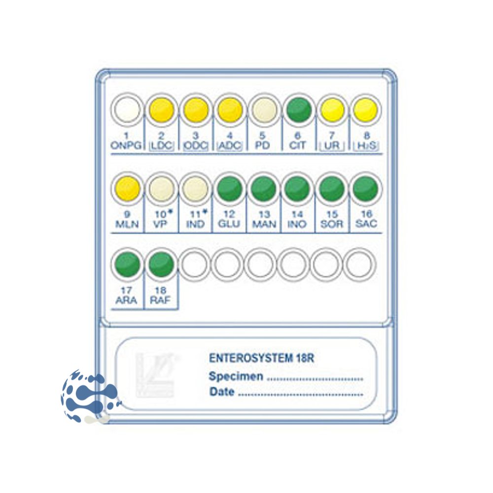 Galerie d'identification Enterosystem 18R pour bactérie Gram et oxydase