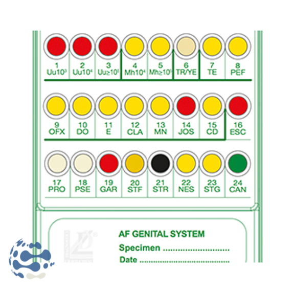 Galerie d'identification AF Genital System