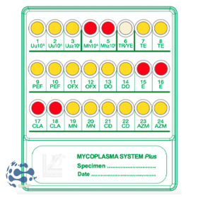 Galerie d'identification Mycoplasma System plus