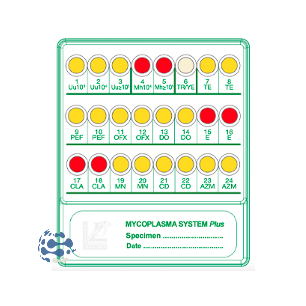 Galerie d'identification Mycoplasma System plus