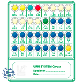 Galerie d'identification Urin System Chrom