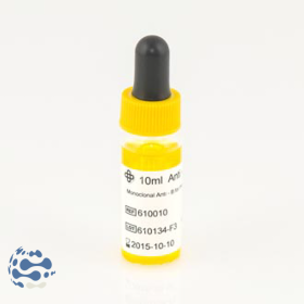 Lorne Anti-B Monoclonal CE