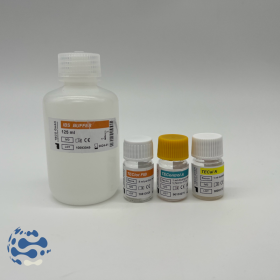 TEClot FIB Kit-25