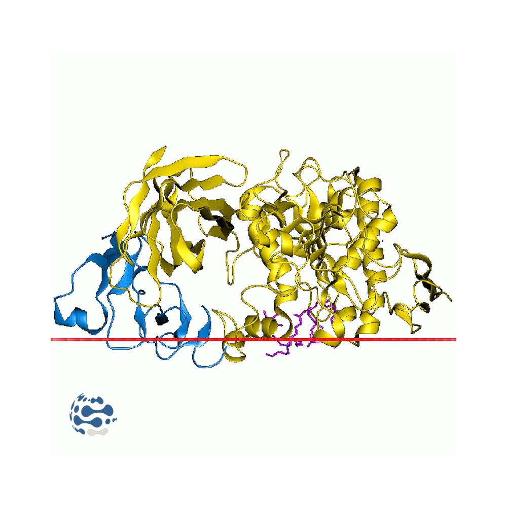 Pancréatine USP CAS[8049-47-6] (100mg)