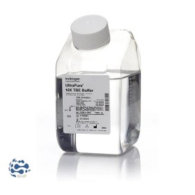 InvitroGen TBE Buffer qualité Biologie moléculaire (10x) (pH 8.3) (1L)