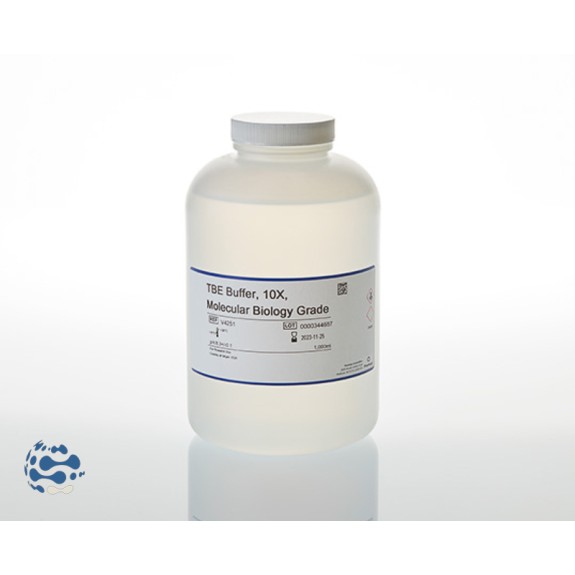 InvitroGen TBE Buffer qualité Biologie moléculaire (10x) (pH 8.3) (10L)