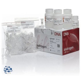 Invitrogen™ Kit d’extraction rapide sur gel PureLink™ (50 préparations)