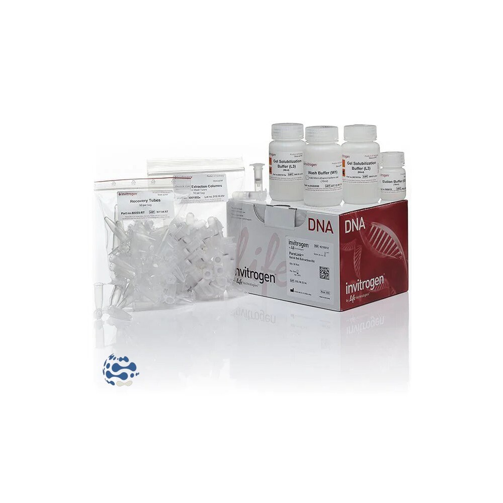 Invitrogen™ Kit d’extraction rapide sur gel PureLink™ (50 préparations)