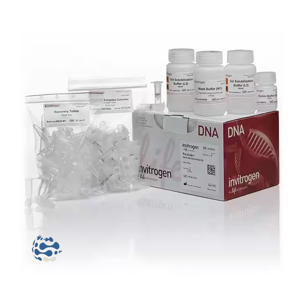 Invitrogen™ Kit d’extraction rapide sur gel PureLink™ (250 préparations)