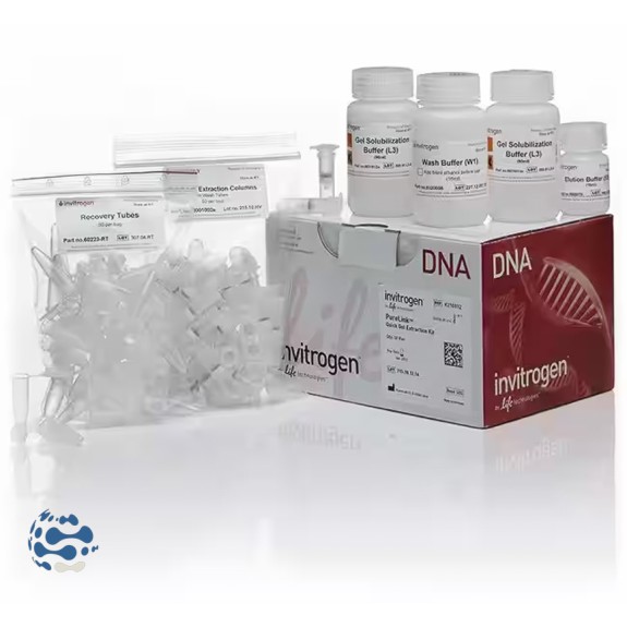 Invitrogen™ Kit d’extraction rapide sur gel PureLink™ (250 préparations)