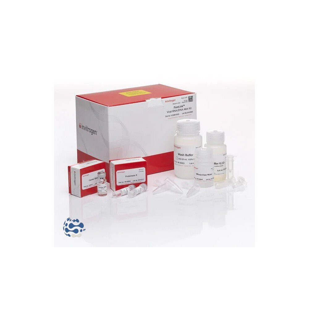 Invitrogen™ Mini Kit d’extraction ADN/ARN Viral PureLink™ (50 préparations)