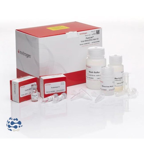 Invitrogen™ Mini Kit d’extraction ADN/ARN Viral PureLink™ (50 préparations)