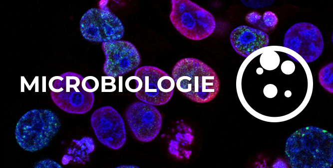 Microbiologie